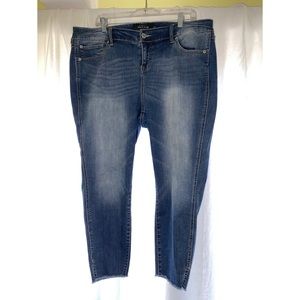 Torrid Jeans